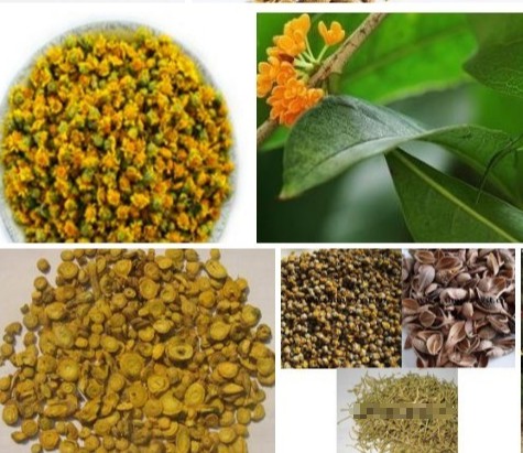 效果極佳的“多功能增強型雙黃連散”原生中草藥組方